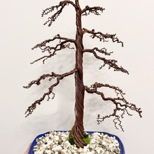 Shohin Gravel-alu Larch I.