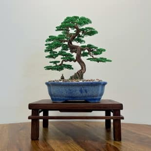 Shohin Gravel-alu Larch II.