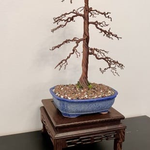 Shohin Gravel-alu Larch II.