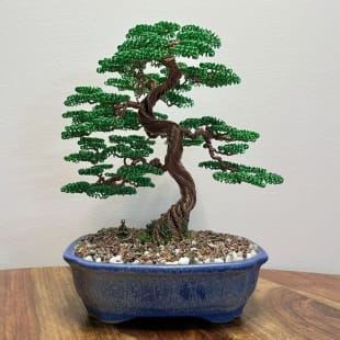 Shohin Gravel-alu Larch II.