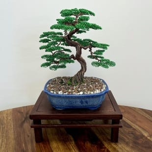 Shohin Gravel-alu Larch II.