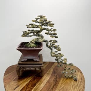 Tiger Cascade