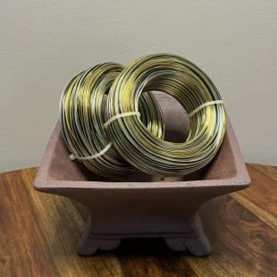 Tiger Cascade