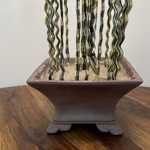Tiger Cascade