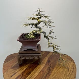 Tiger Cascade