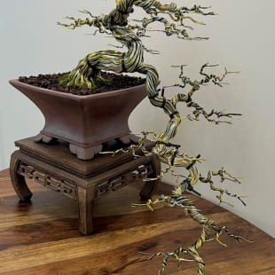 Tiger Cascade