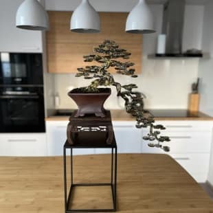Tiger Cascade
