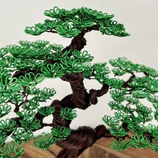 Zelkova III.