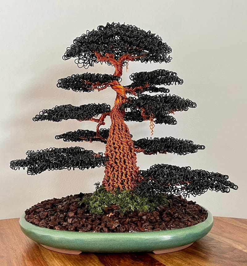 Black Oak