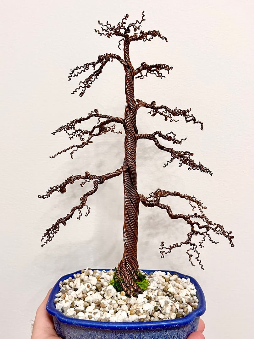 Shohin Gravel-alu Larch I.