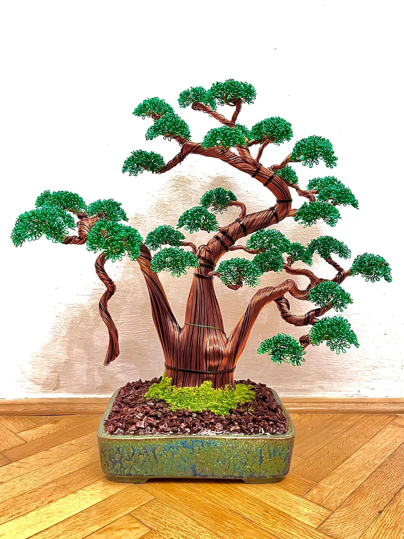 Shaka Pine