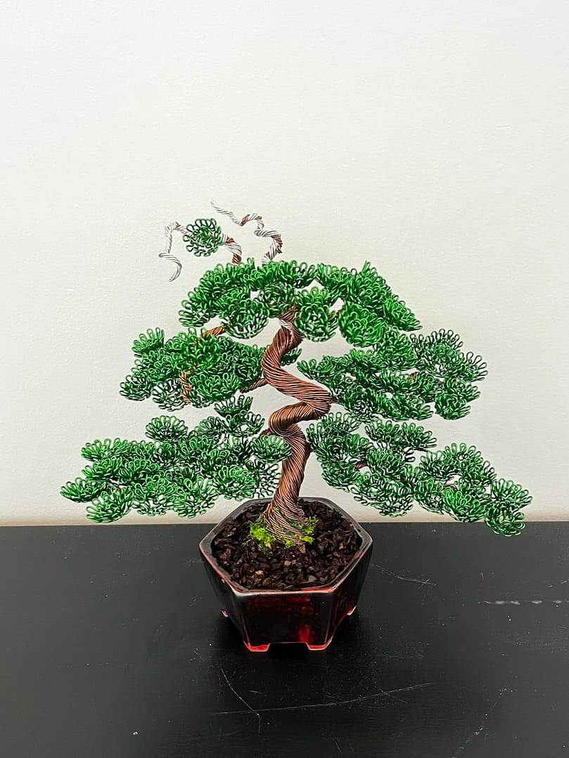 Shohin Bark I
