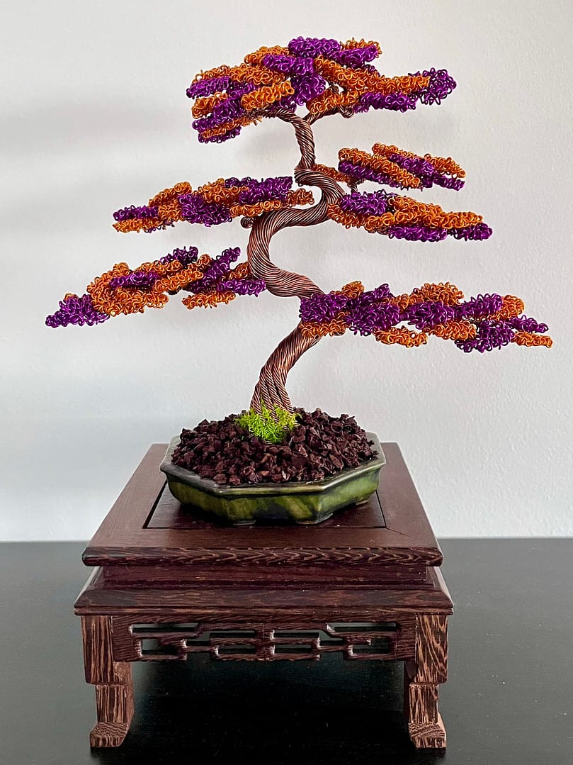 Shohin Bark III.