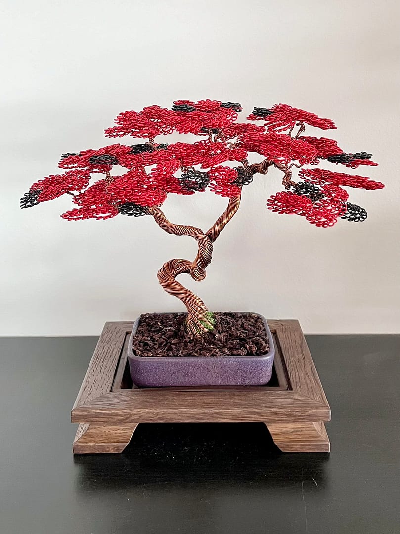 Shohin Bark IV.