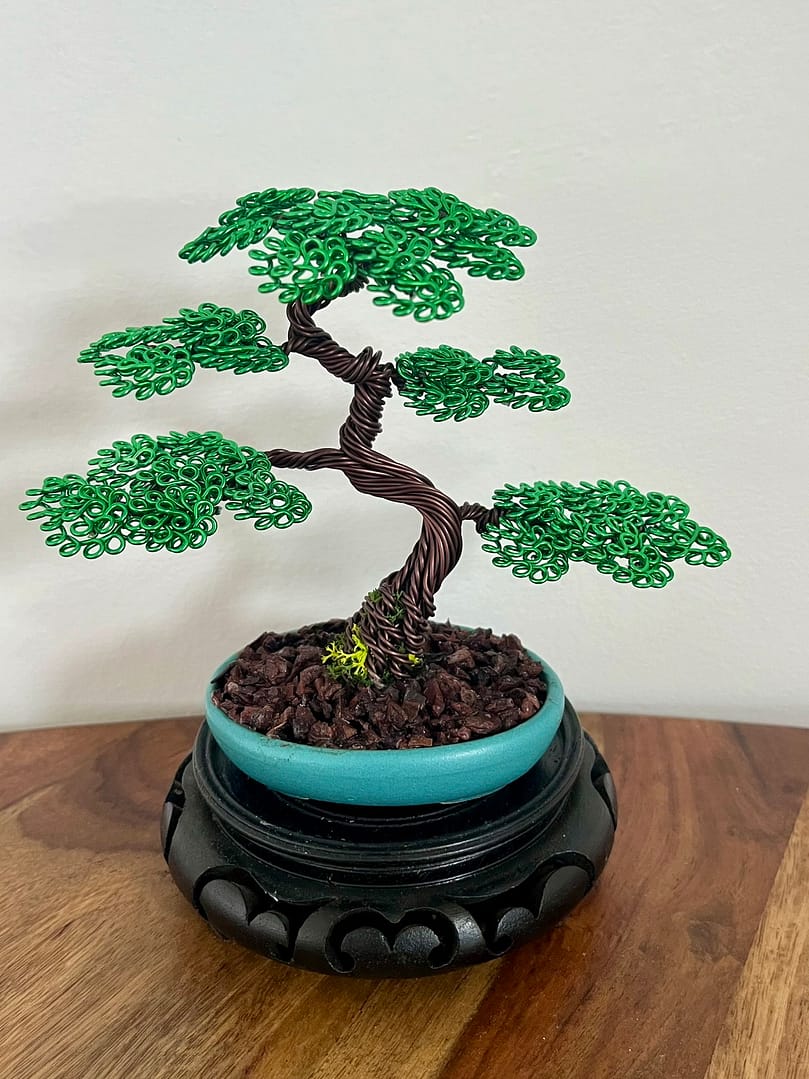 Shohin Mini II.