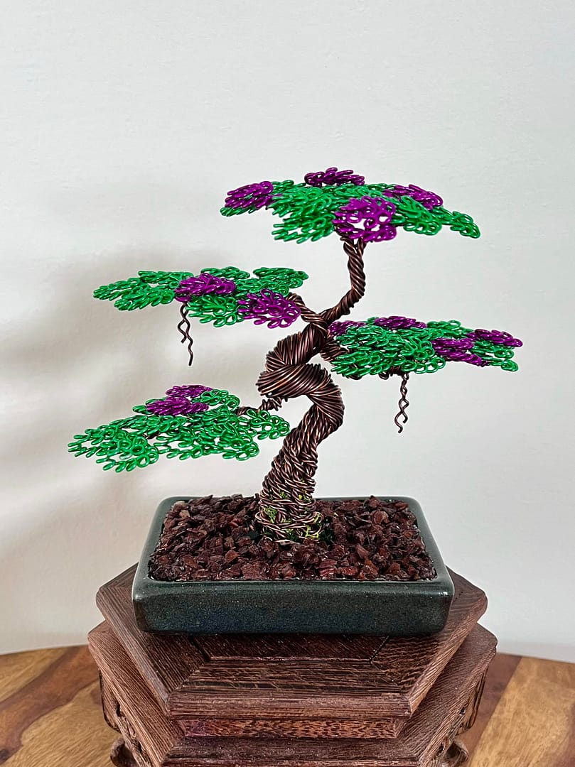 Shohin Mini III.