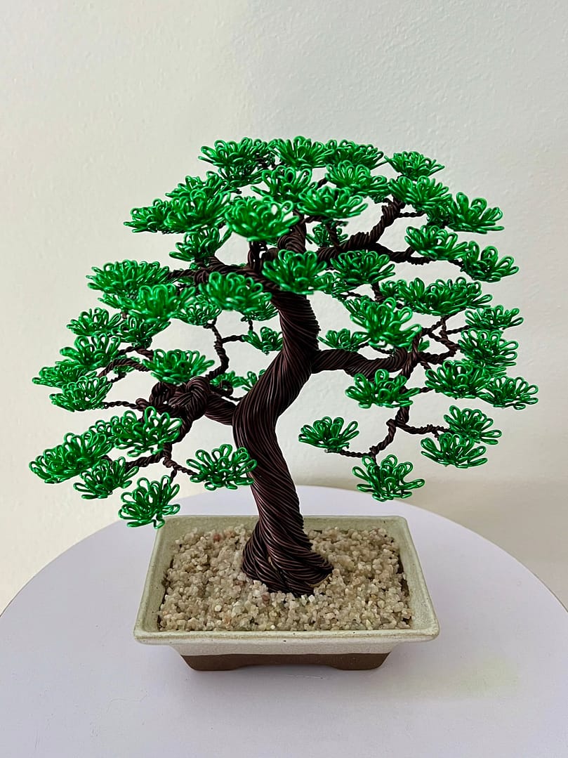 Shohin In Sand