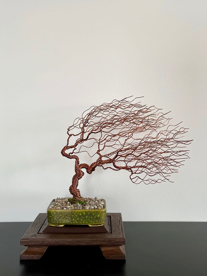 Shohin Gravel In The Wind