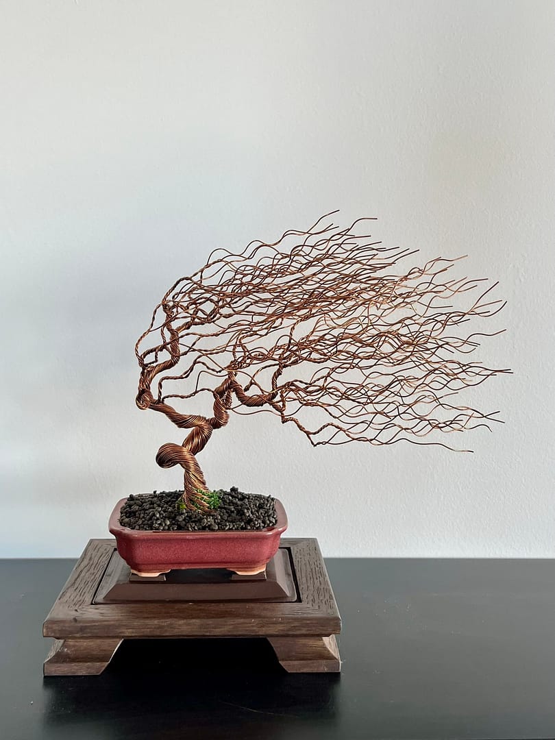 Shohin Gravel In The Wind II.