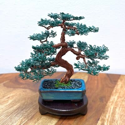 Mame Pine (V)