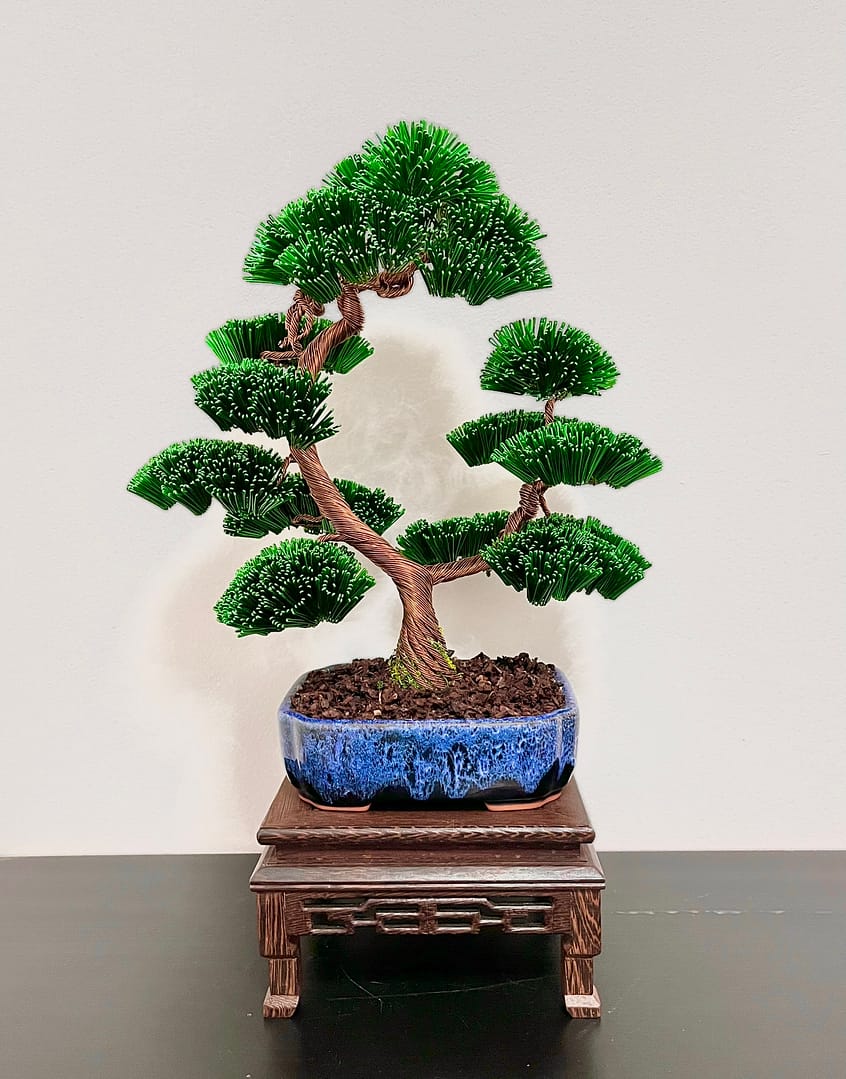 Pine Bark I