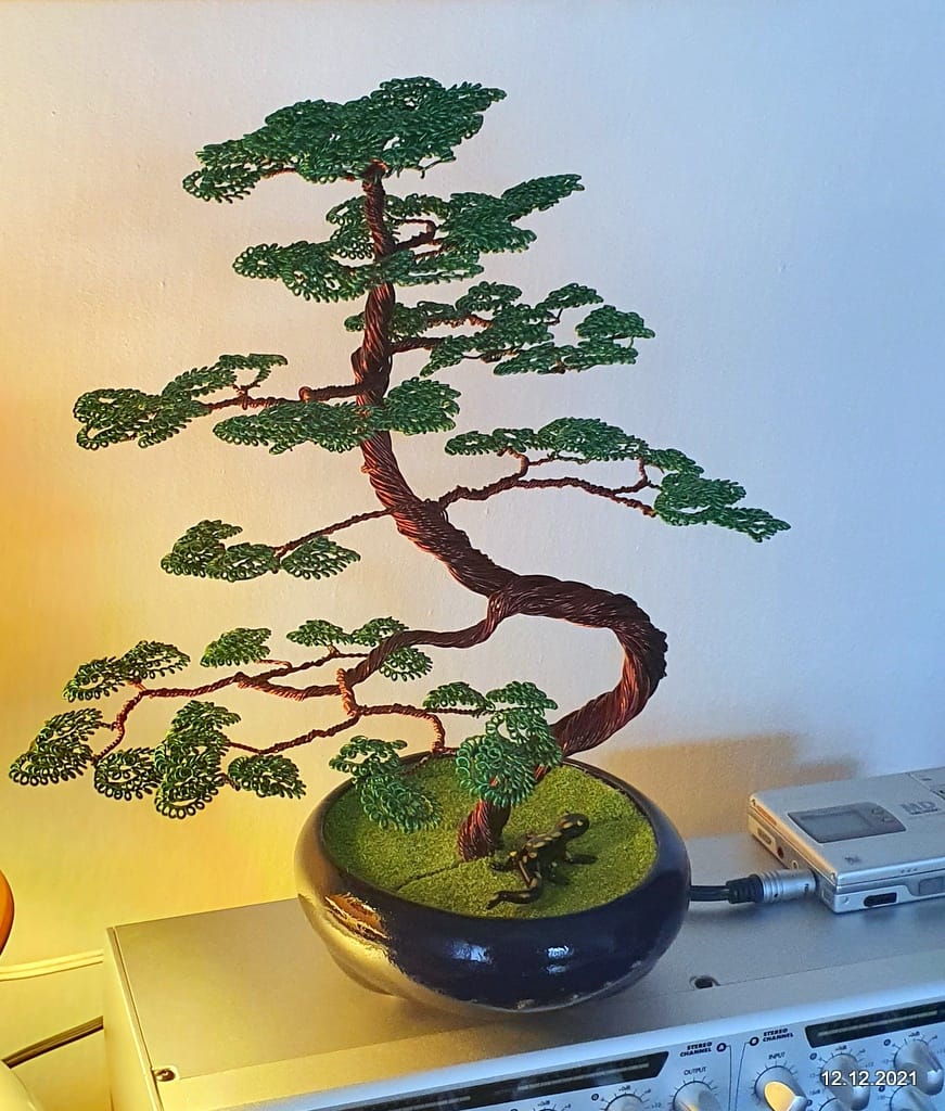 Zelkova