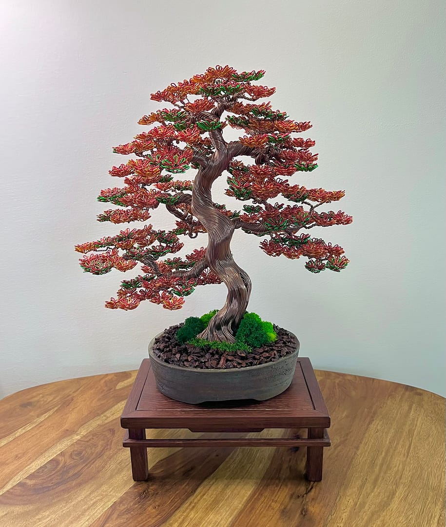 Fire Maple