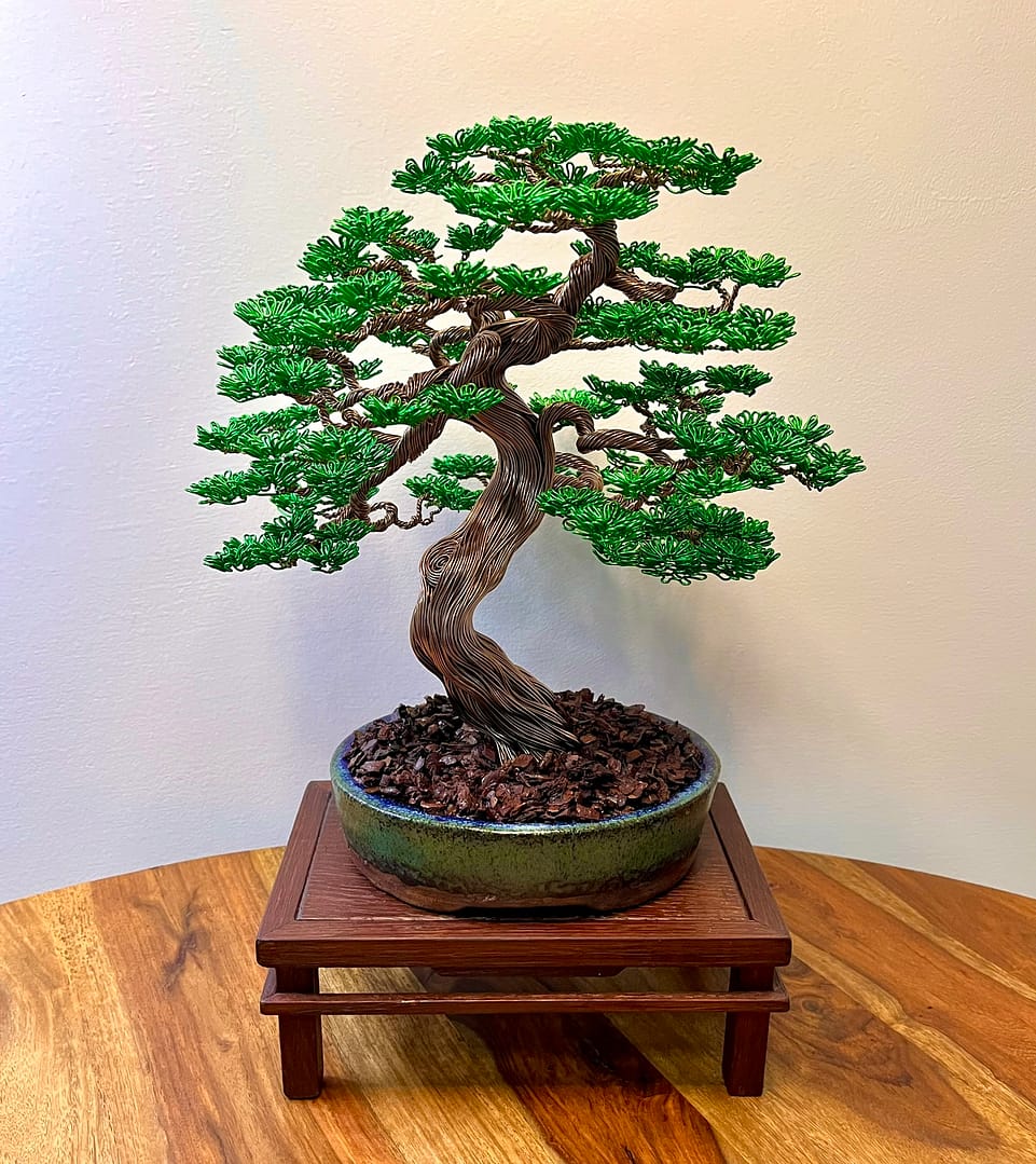 Maple III.