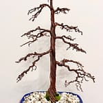 SHOHIN GRAVEL-ALU LARCH I.