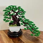 SHOHIN CASCADE