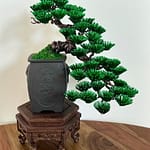 PINE CASCADE I.