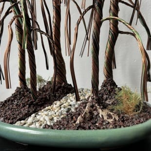 Bonsai Forest I