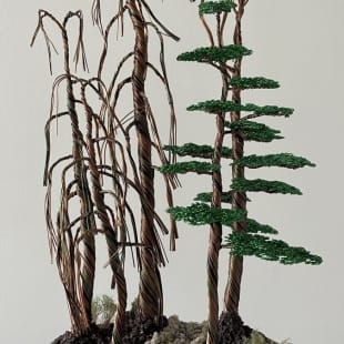 Bonsai Forest I