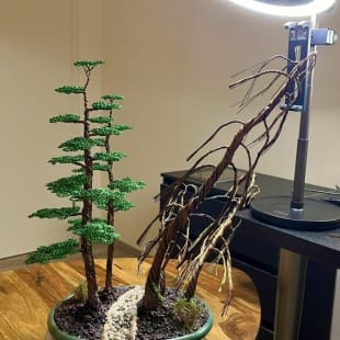 Bonsai Forest I