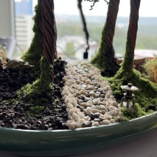 Bonsai Forest I