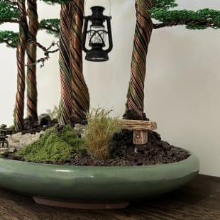 Bonsai Forest I