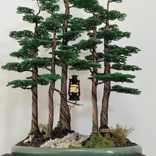 Bonsai Forest I