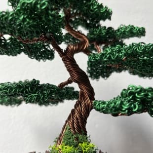 Juniper Shohin I.