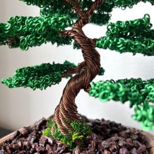 Juniper Shohin II.