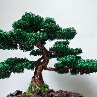 Juniper Shohin II.