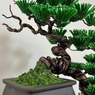 Pine Cascade I.