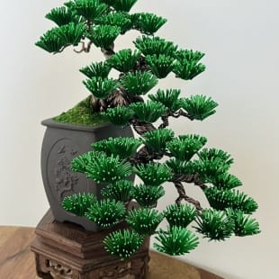 Pine Cascade I.