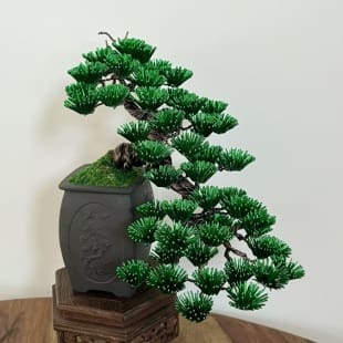 Pine Cascade I.