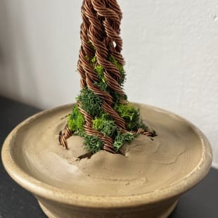 Pine Shohin II.