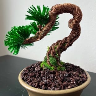 Pine Shohin II.