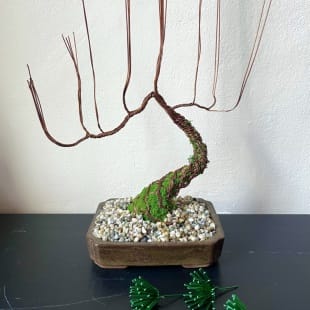 Pine Shohin III.