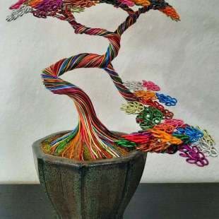 Rainbow Shohin