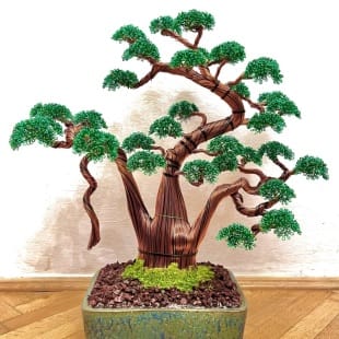 Shaka Pine