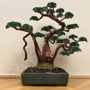 Shaka Pine