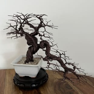 Shohin Cascade